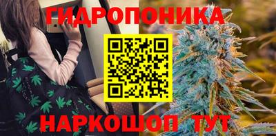 таблы Гатчина